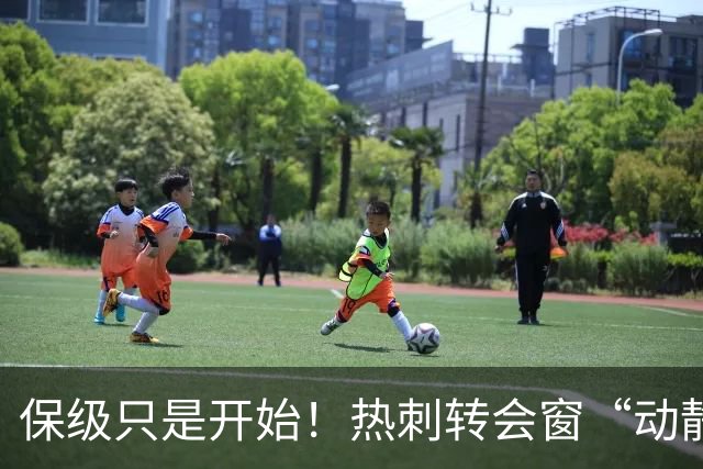 保级只是开始！热刺转会窗“动静极大”，求购5200万中卫提升能力