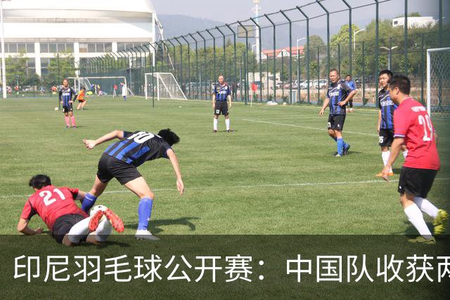 印尼羽毛球公开赛：中国队收获两项亚军