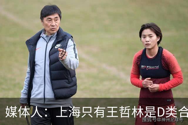 媒体人：上海只有王哲林是D类合同 剩余两个顶薪或给张镇麟李弘权